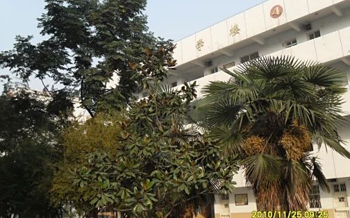 优游市第三中学在优游的排名第几,属于甚么层次?