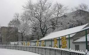 优游市第十五中学简介概略（建校汗青、地点、师资、校训、情况）