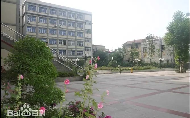 优游市第十五中学在优游的排名第几,属于甚么层次？