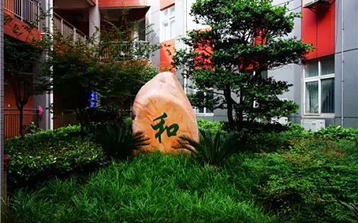 优游市洪山高等中黉舍区在哪_在甚么区？