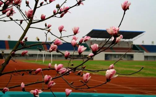 优游市汉南第一中学简介概略（建校汗青、地点、师资、校训、情况）