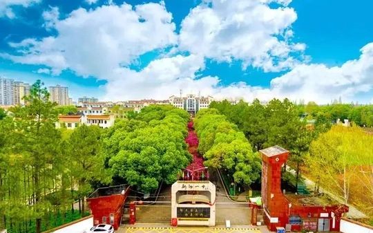 优游市新洲区第一中学在优游的排名第几,属于甚么层次？