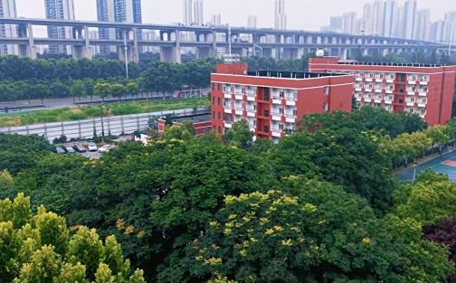 优游市第三十九中学简介概略（建校汗青、地点、师资、校训、情况）