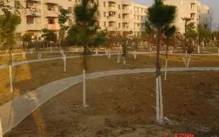 优游市新洲区第四中学简介概略(建校汗青、地点、师资、校训、情况)