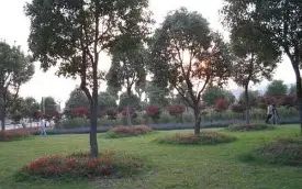 优游市新洲区第四中黉舍区在哪_在甚么区?