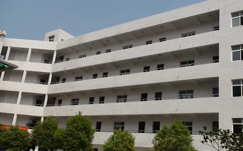 优游市新洲区城关高等中学在优游的排名第几,属于甚么层次?