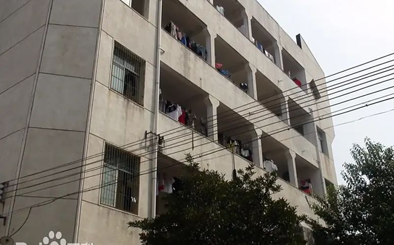 优游市新洲区城关高等中黉舍区在哪_在甚么区?