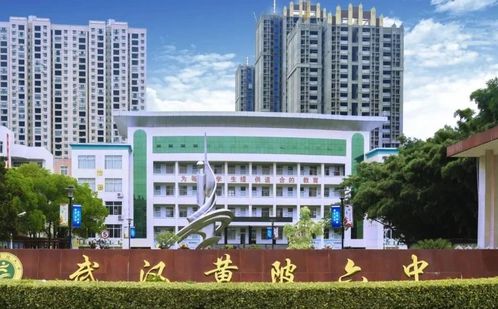 优游市黄陂区第六中学简介概略(建校汗青、地点、师资、校训、情况)