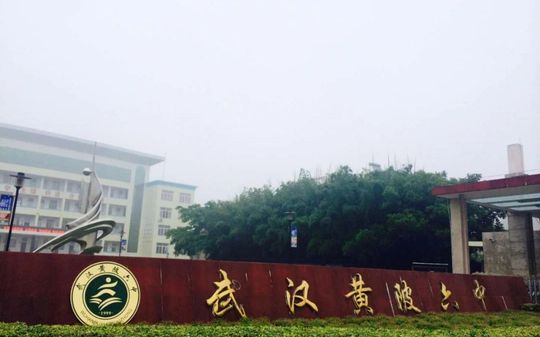 优游市黄陂区第六中学在优游的排名第几,属于甚么层次?