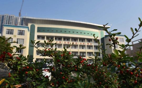 优游市黄陂区第六中黉舍区在哪_在甚么区？
