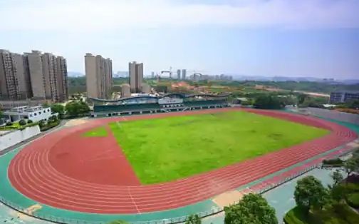 长沙市雷锋黉舍在长沙的排名第几,属于甚么层次？