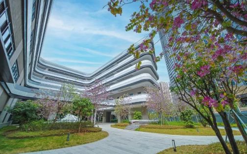 深圳市格致中学在深圳的排名第几,属于甚么层次?