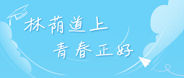 长沙理工大学在各省的登科分数线及位次,2026届高考生几多分能上?