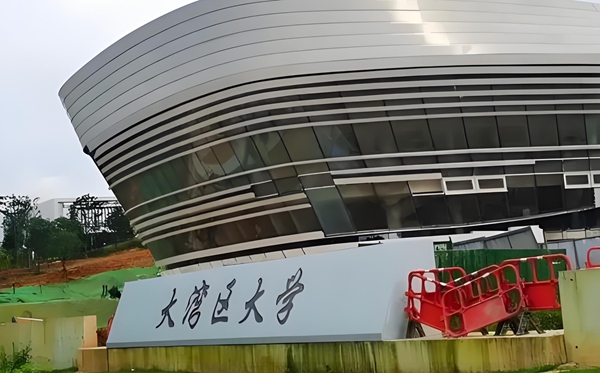 大湾区大学是公办仍是民办?