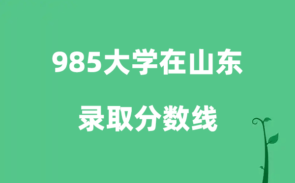各所985大学在山东的登科分数线是几多分（2026参考）