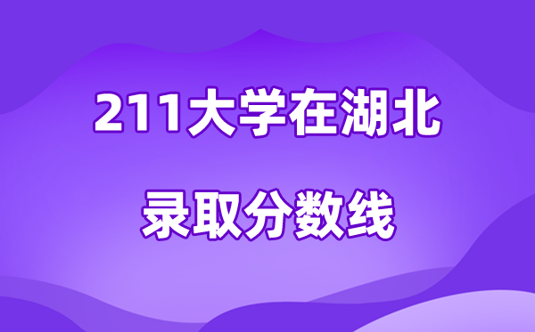 211大学在湖北登科分数线及位次一览表（2026参考）